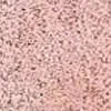 swatch-image