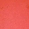 swatch-image