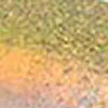 swatch-image