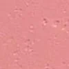 swatch-image