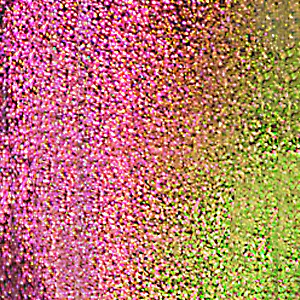 swatch-image