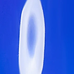 swatch-image