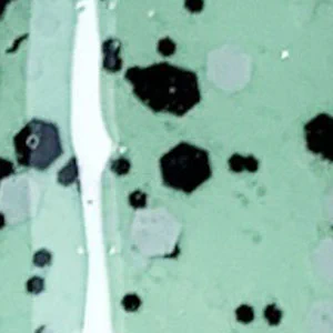 swatch-image