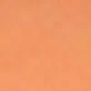 swatch-image