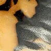 swatch-image