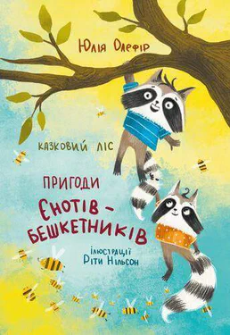 Казковий ліс. Пригоди єнотів-бешкетників (2160626)